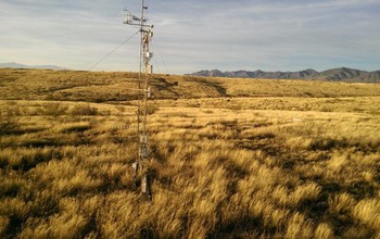 Kendall Grassland in southeastern Arizona